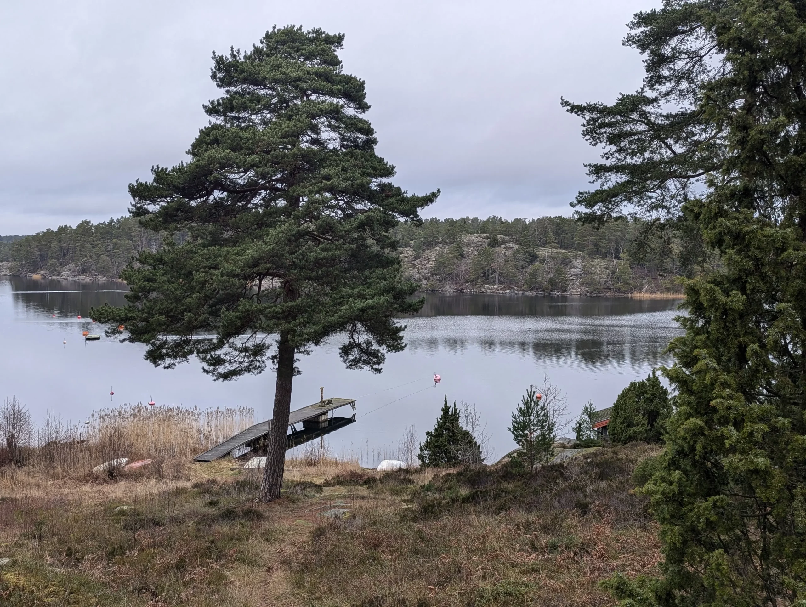 Eldning och trädgårdsavfall